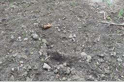 Gewehrgranate neben dem Töpferteich